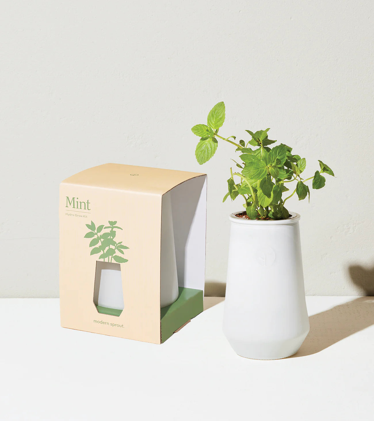 Mint Hydro Grow Kit