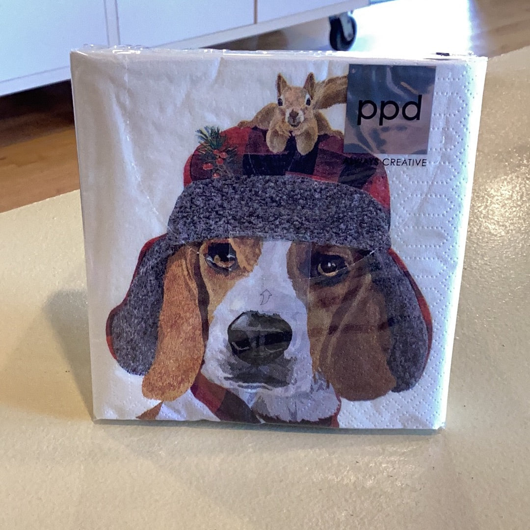 Dog with hat on with squirrel napkins